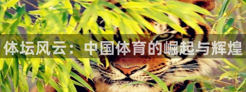 长征娱乐主管