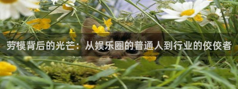 长征娱乐平台
