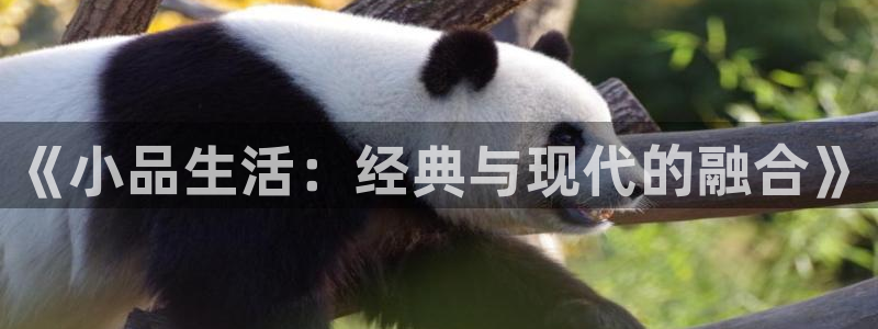 长征娱乐平台